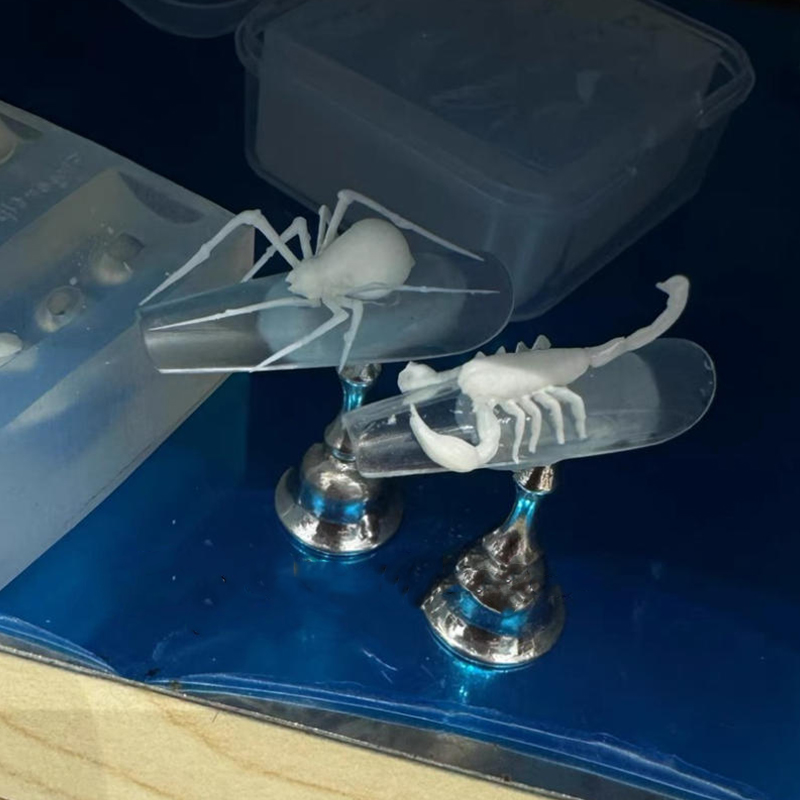 3D Spider Scorpion Silicone Na - Nail Stamping Plate review and price